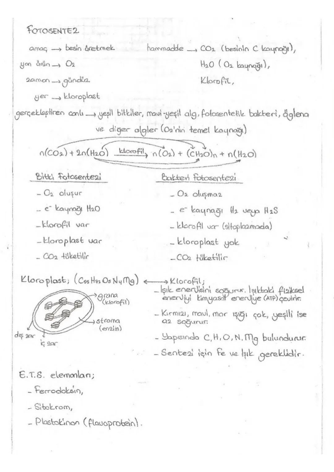 FOTOSENTE2
amaq besin dretmek
hammadde
CO2 (besinin C kaynağı),
yon ürün 02
->
H₂O (0₂ kaynağı),
zamon
gündüz
Klorofil,
yer-> kloroplast
ger