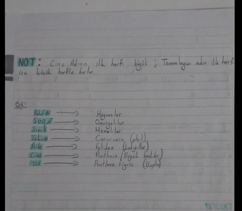 Biyolojik Sınıflandırma Sistemi (Satematik)
TOW
Sahuda Sut Atti
ÜL
Amper
Milli
Takimi
A
K
N
13
よ
E
M
Türkiye Cumhuriyeti
ū
R
N
7
S
E
ALEM
al