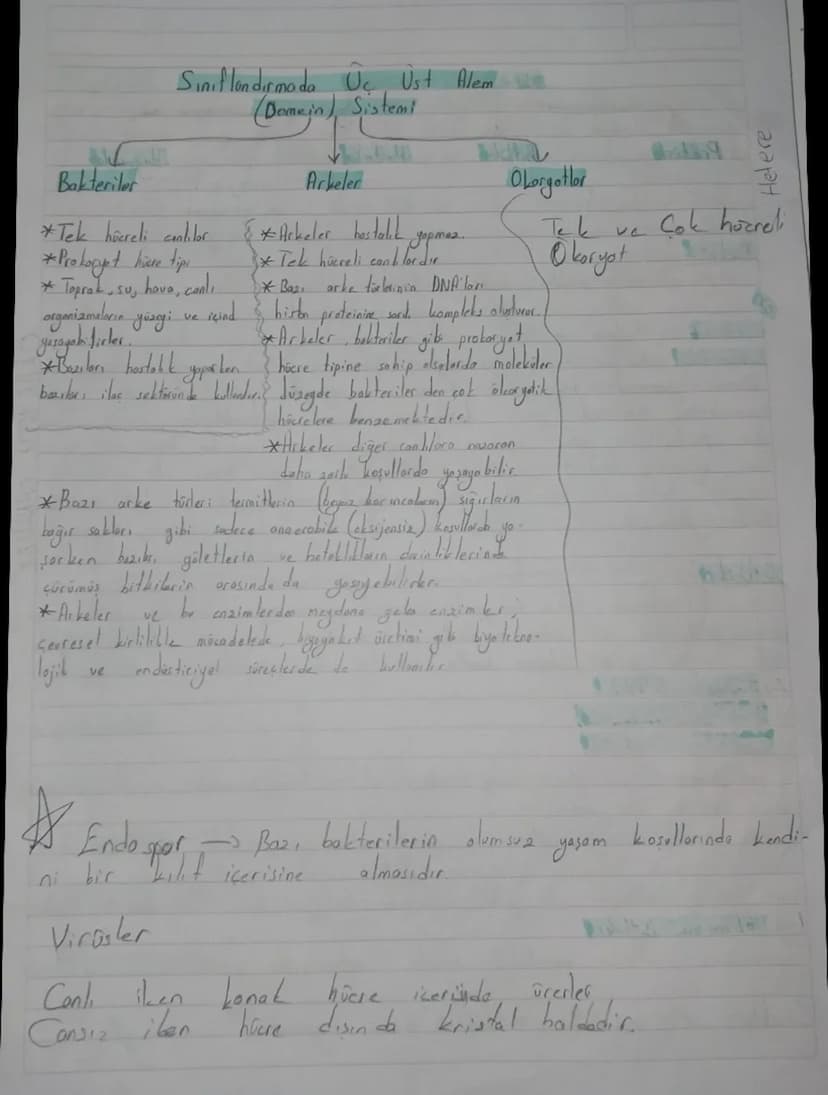 Biyolojik Sınıflandırma Sistemi (Satematik)
TOW
Sahuda Sut Atti
ÜL
Amper
Milli
Takimi
A
K
N
13
よ
E
M
Türkiye Cumhuriyeti
ū
R
N
7
S
E
ALEM
al