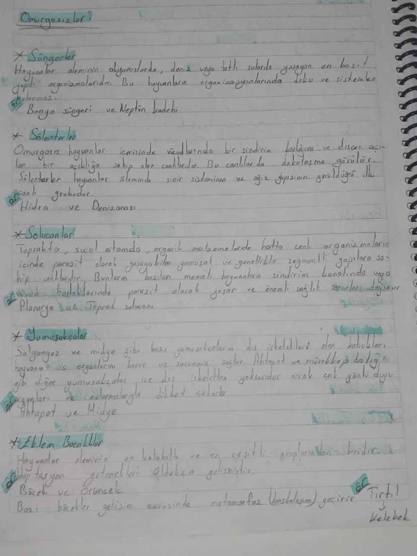 Biyolojik Sınıflandırma Sistemi (Satematik)
TOW
Sahuda Sut Atti
ÜL
Amper
Milli
Takimi
A
K
N
13
よ
E
M
Türkiye Cumhuriyeti
ū
R
N
7
S
E
ALEM
al