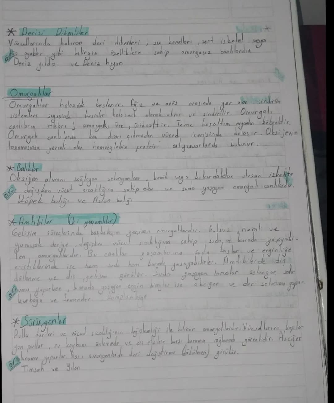 Biyolojik Sınıflandırma Sistemi (Satematik)
TOW
Sahuda Sut Atti
ÜL
Amper
Milli
Takimi
A
K
N
13
よ
E
M
Türkiye Cumhuriyeti
ū
R
N
7
S
E
ALEM
al