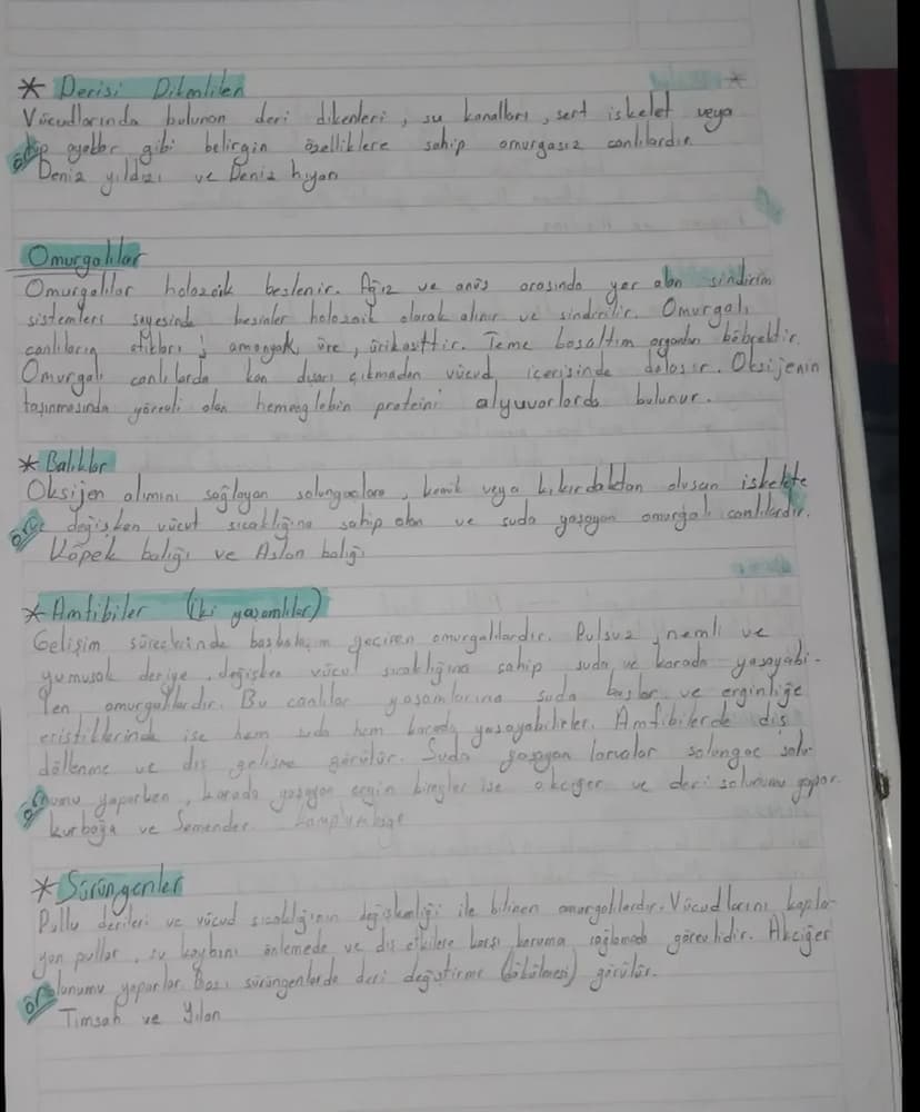 Biyolojik Sınıflandırma Sistemi (Satematik)
TOW
Sahuda Sut Atti
ÜL
Amper
Milli
Takimi
A
K
N
13
よ
E
M
Türkiye Cumhuriyeti
ū
R
N
7
S
E
ALEM
al