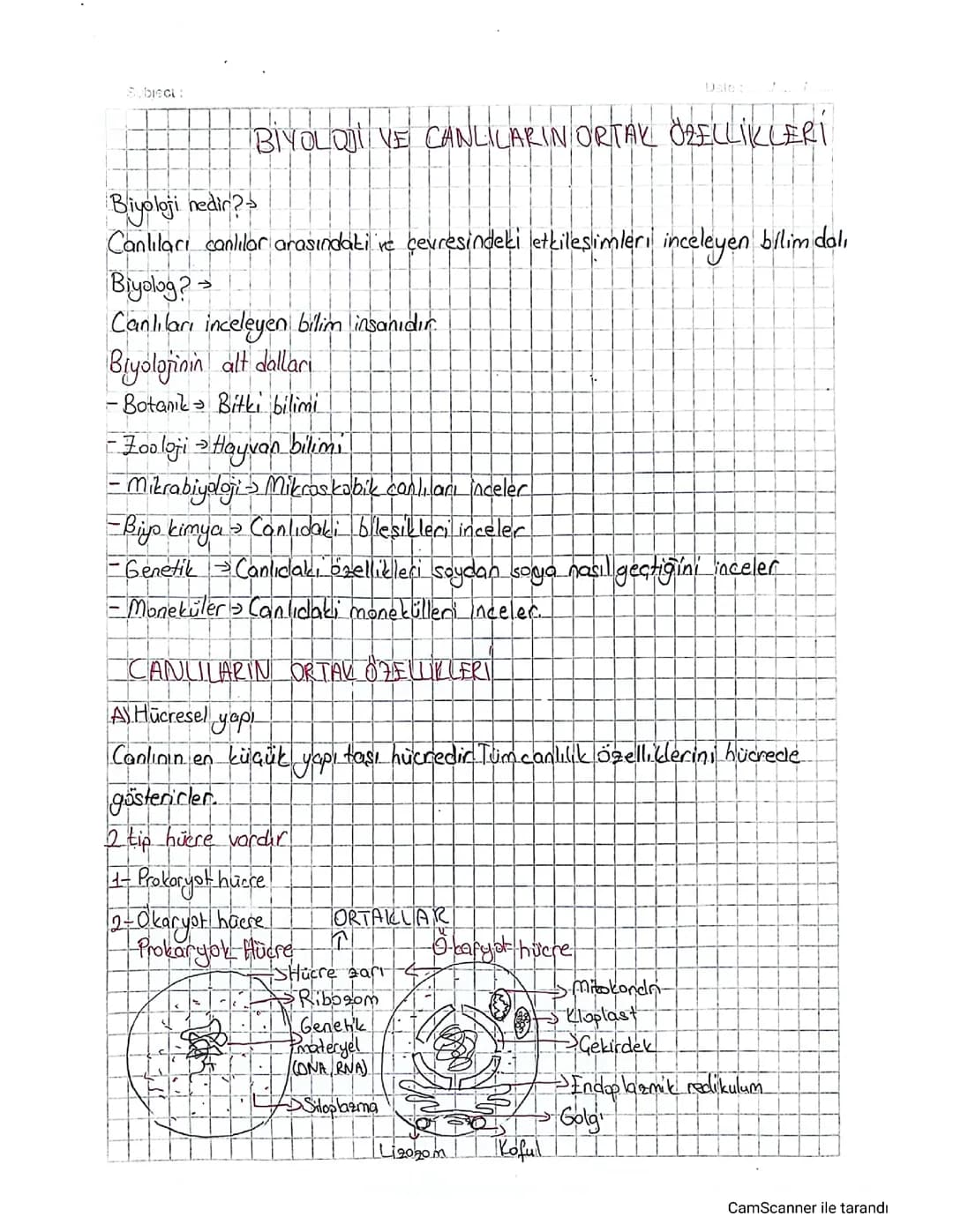 Biyoloji Nedir? Hücresel Yapılar ve Canlıların Ortak Özellikleri