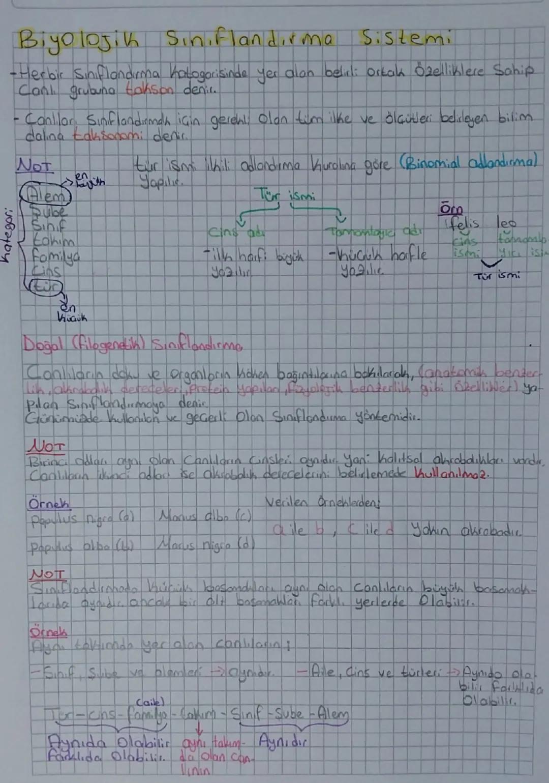 Biyolojik sınıflandırma sistemleri