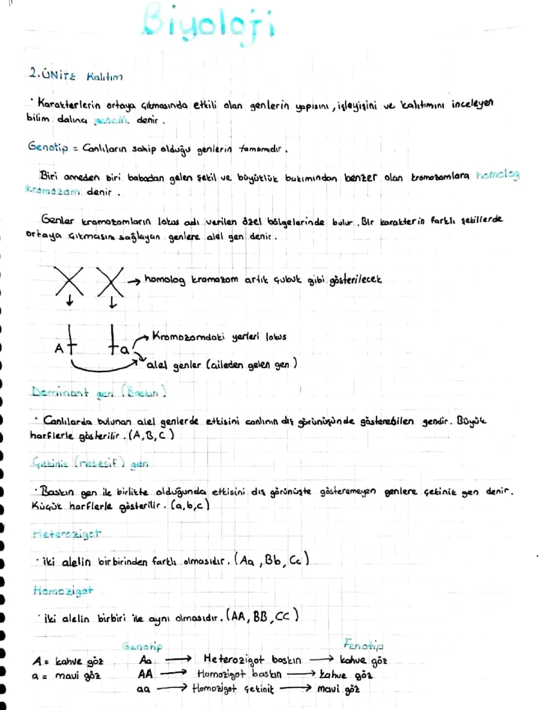 Kalıtım