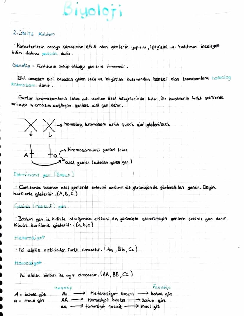 Biyoloji
2.ÚNITE Kalitim
· Karakterlerin ortaya çıkmasında etkili olan genlerin yapısını, işleyişini ve kalıtımını inceleyen
bilim dalına de
