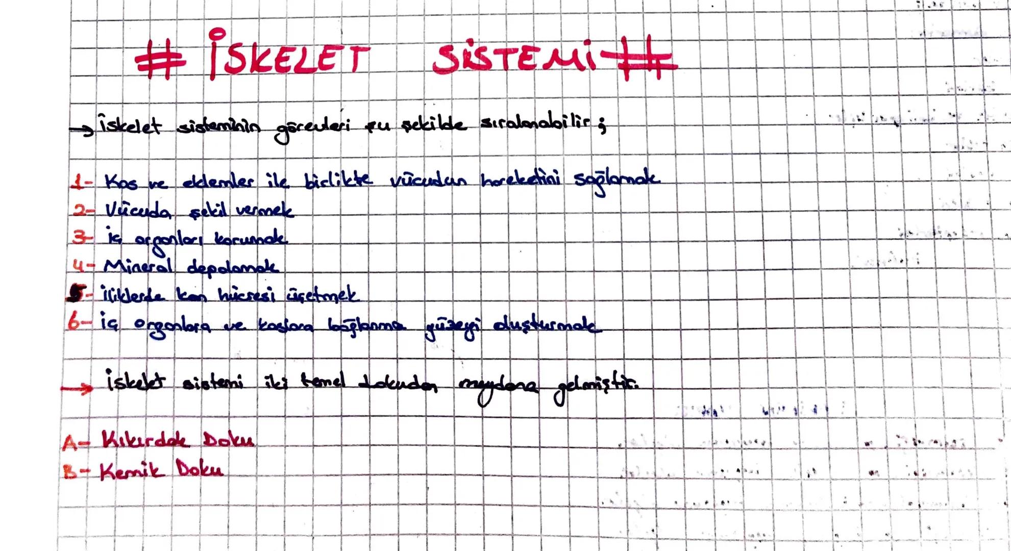 #İSKELET
SiSTEMi#
, iskelet sisteminin görevleri eu şekilde sıralmabilir;
1- Kos ve eklemler ile birlikte vucudan hareketini sağlamak
2- Vuc