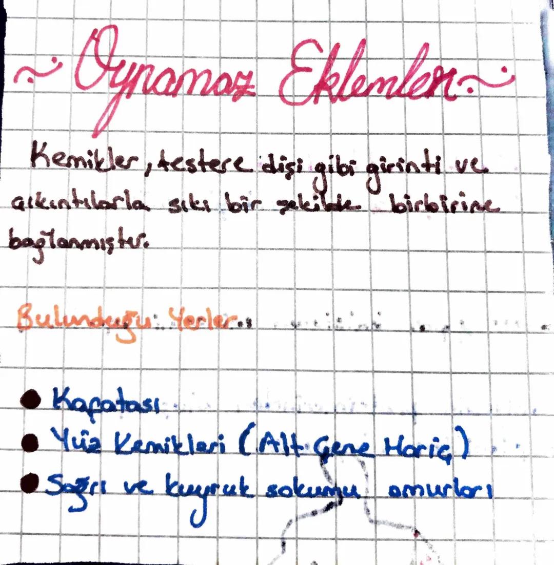 #İSKELET
SiSTEMi#
, iskelet sisteminin görevleri eu şekilde sıralmabilir;
1- Kos ve eklemler ile birlikte vucudan hareketini sağlamak
2- Vuc