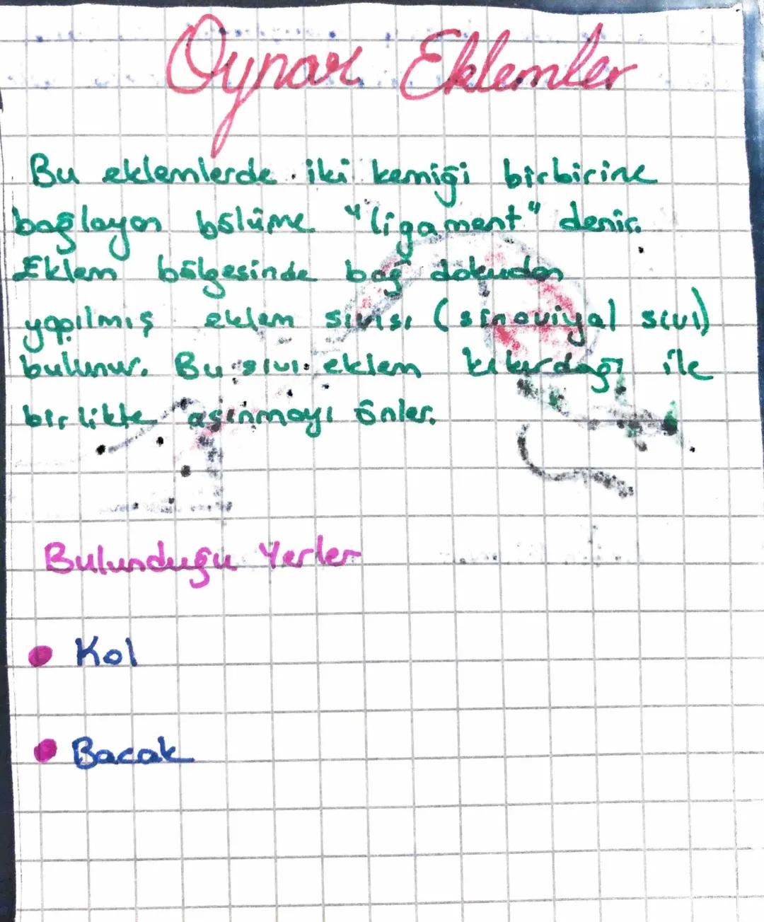 #İSKELET
SiSTEMi#
, iskelet sisteminin görevleri eu şekilde sıralmabilir;
1- Kos ve eklemler ile birlikte vucudan hareketini sağlamak
2- Vuc