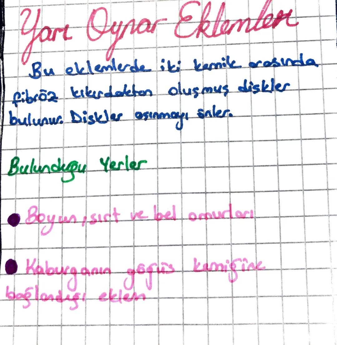 #İSKELET
SiSTEMi#
, iskelet sisteminin görevleri eu şekilde sıralmabilir;
1- Kos ve eklemler ile birlikte vucudan hareketini sağlamak
2- Vuc