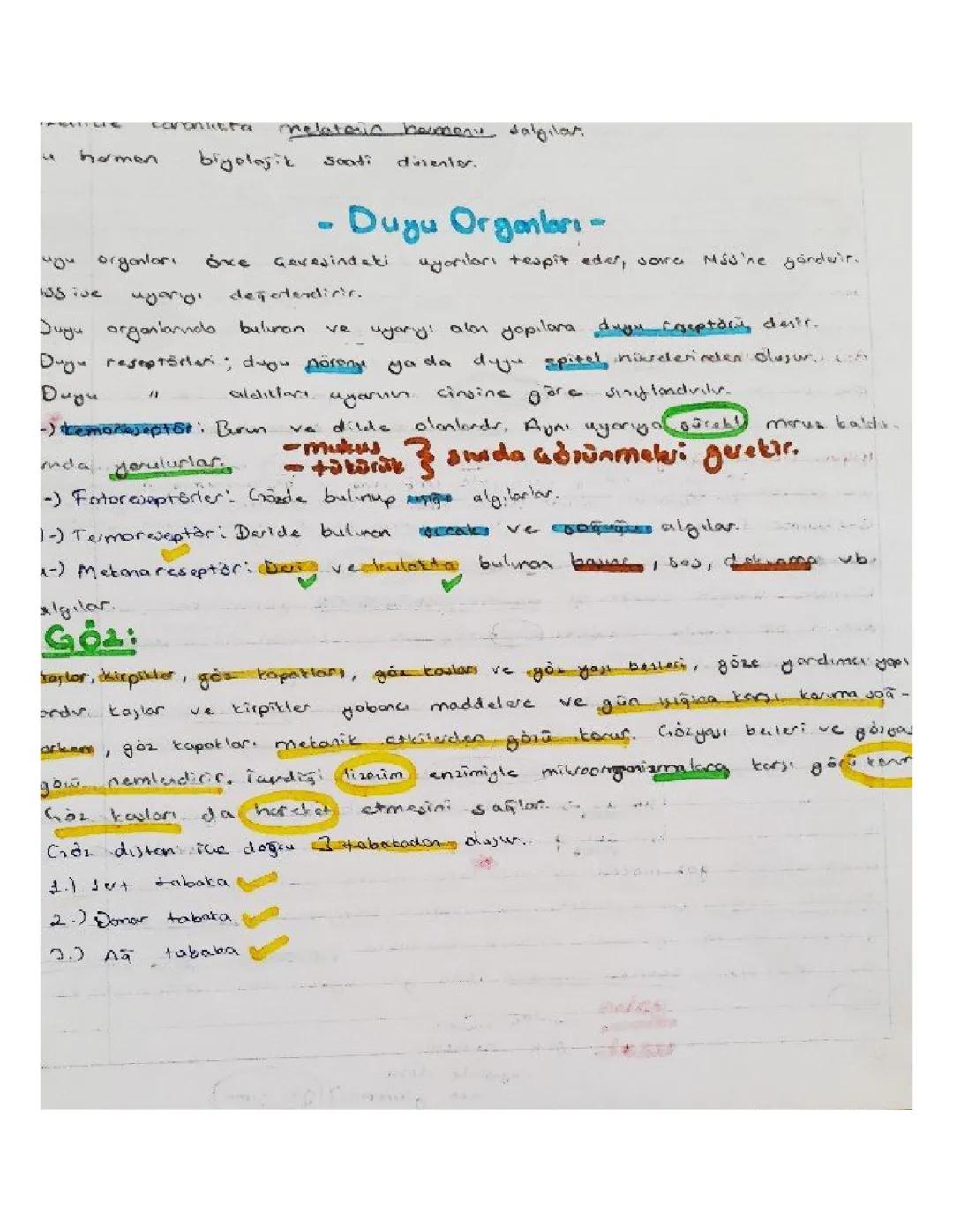 11. Sınıf biyoloji sistemler ünitesi duyu organları ders notu 