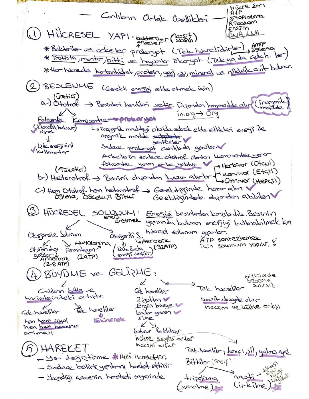 Canlıların Ortak Özellikleri 