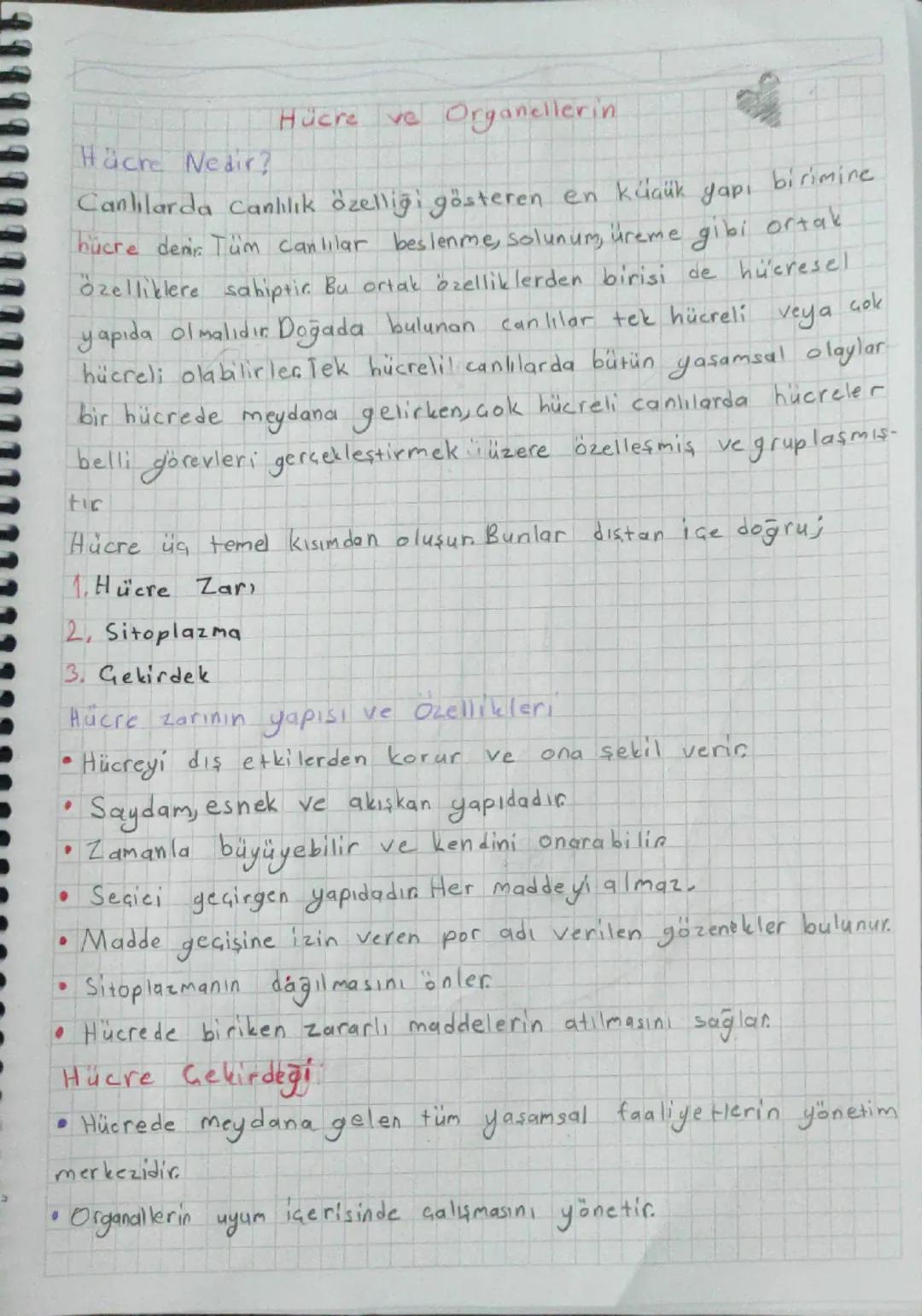 Hücre ve Organellerin

Hücre Nedir?

Canlılarda Canlılık özelliği gösteren en küçük yapı birimine
hücre denir. Tüm canlılar beslenme, solunu