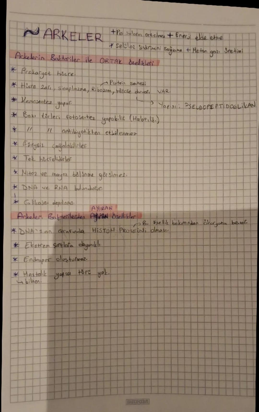 ARKELER

+Pis suların artırılpes + Enerji elde etme
+Selüloz sindirimini sağoma + Metan gazı Sretimi

Ackelerin Bakteriler ile ORTAK Dzellik