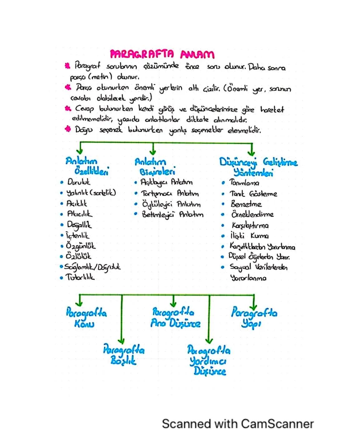 Paragrafta Anlamın Temel İlkeleri