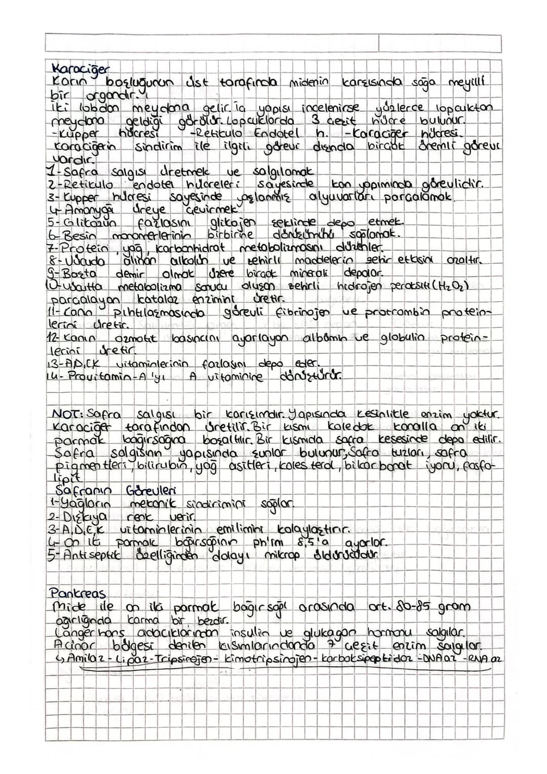 Besin maddelerinin
SINDIRIM SISTEMI
Sulu ortamlarda enzimler aracılığıyla yapı taşlarına
parçalanarak kana geçebilecek hale gelmesine sindir