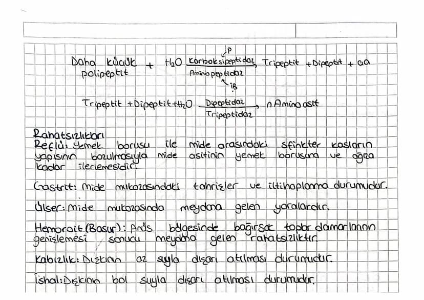 Besin maddelerinin
SINDIRIM SISTEMI
Sulu ortamlarda enzimler aracılığıyla yapı taşlarına
parçalanarak kana geçebilecek hale gelmesine sindir