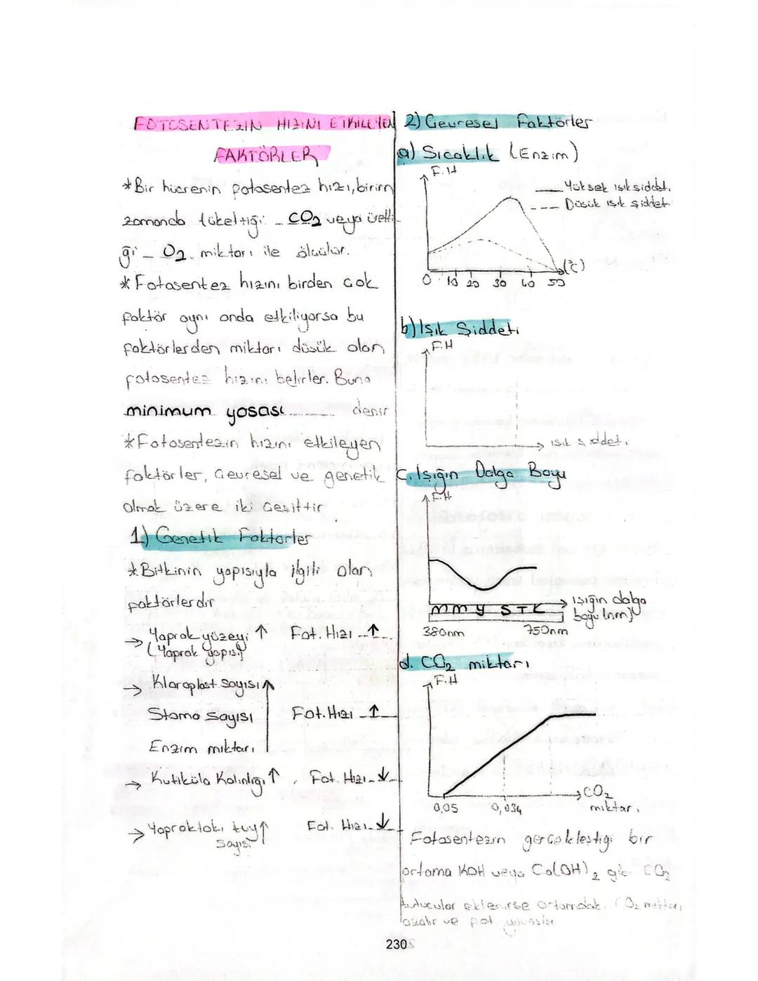 Fotosentez Hızını Etkileyen Faktörler