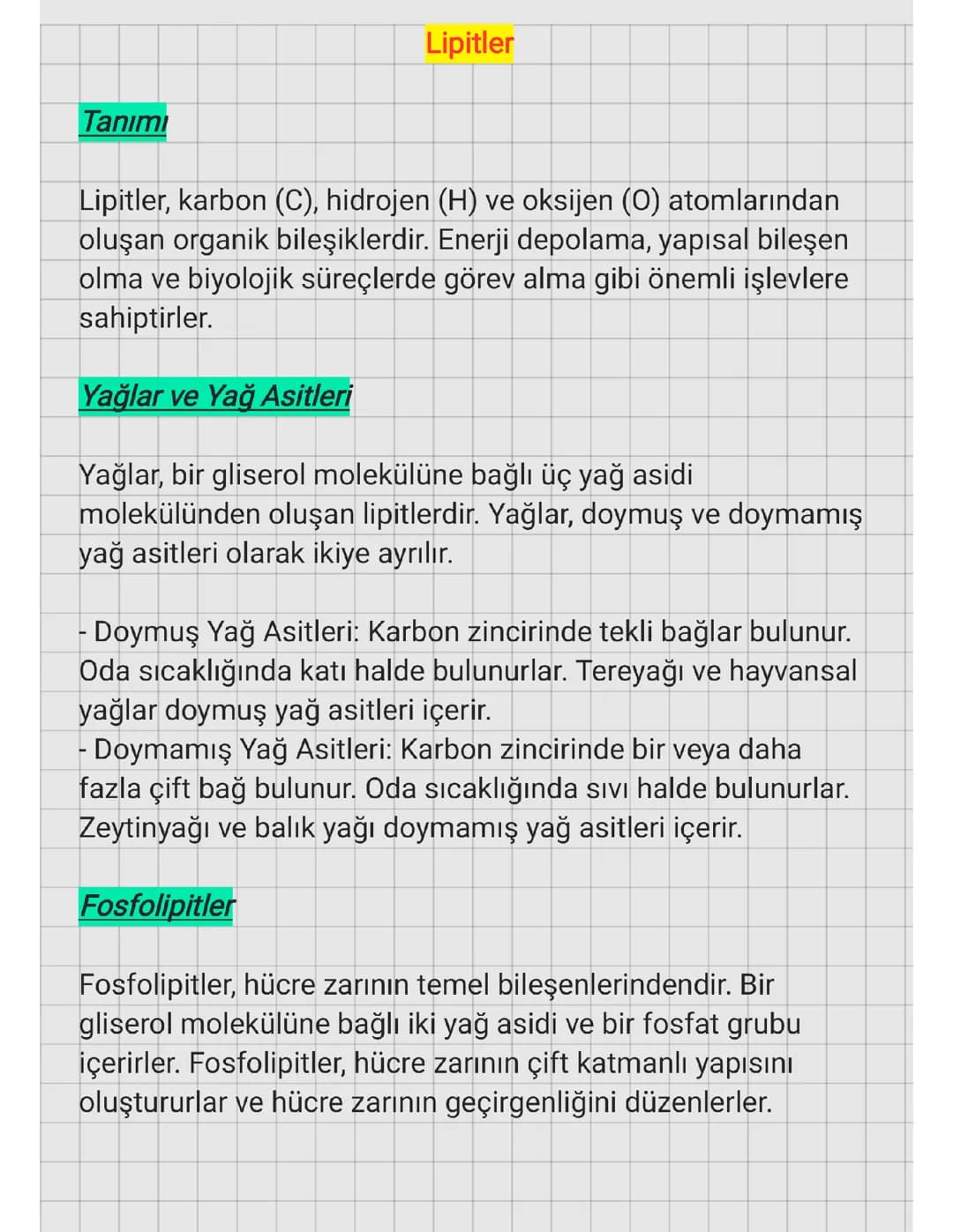 9.SINIF - LİPİTLER 