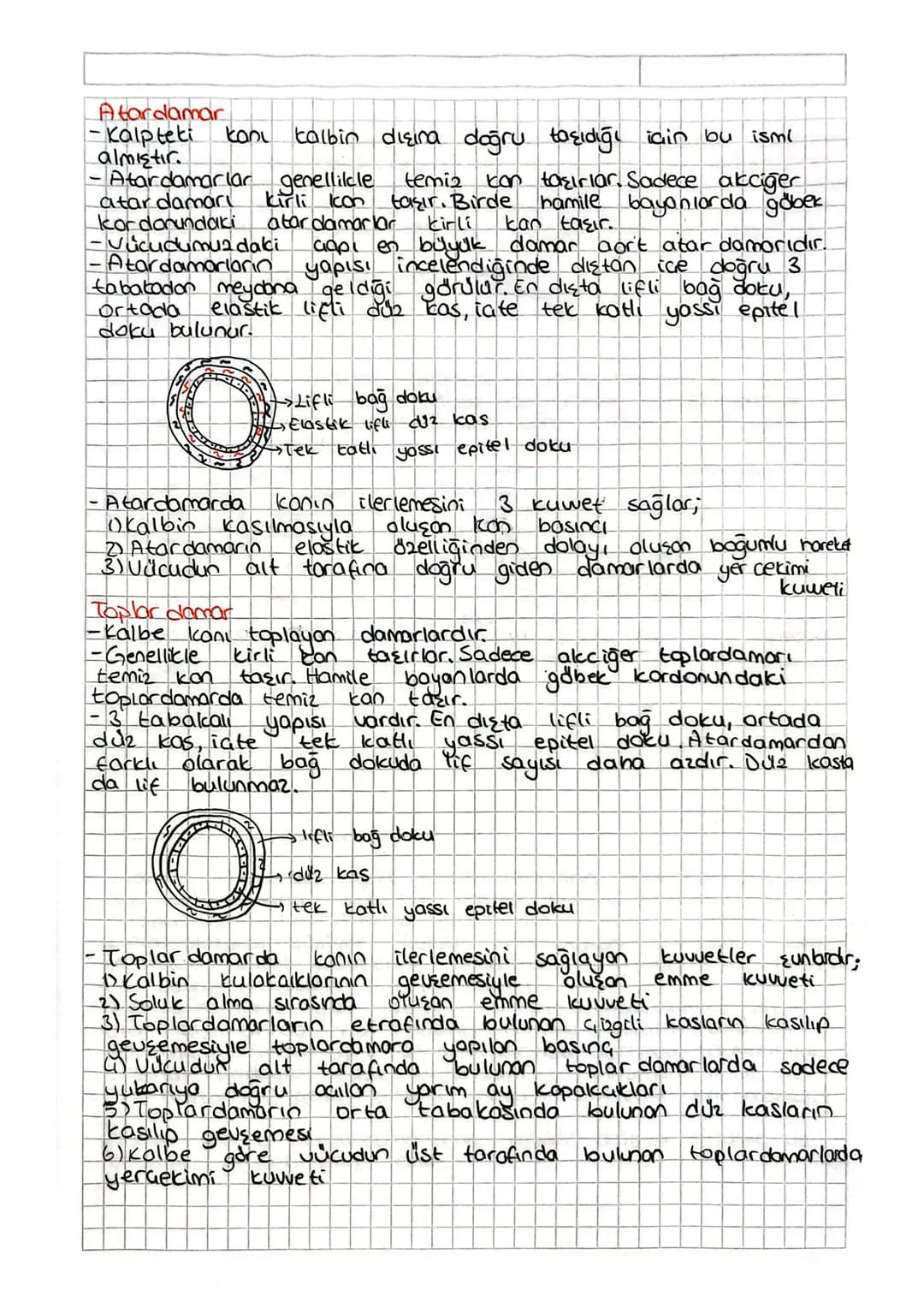 DOLAŞIM SİSTEM
Kalp damarlar. ve dolaşım SQUISI kandan oluşan sisteme
dolaşım sistemi denir. Dolaşım sistemian wucudumuzda madde
taşınması h