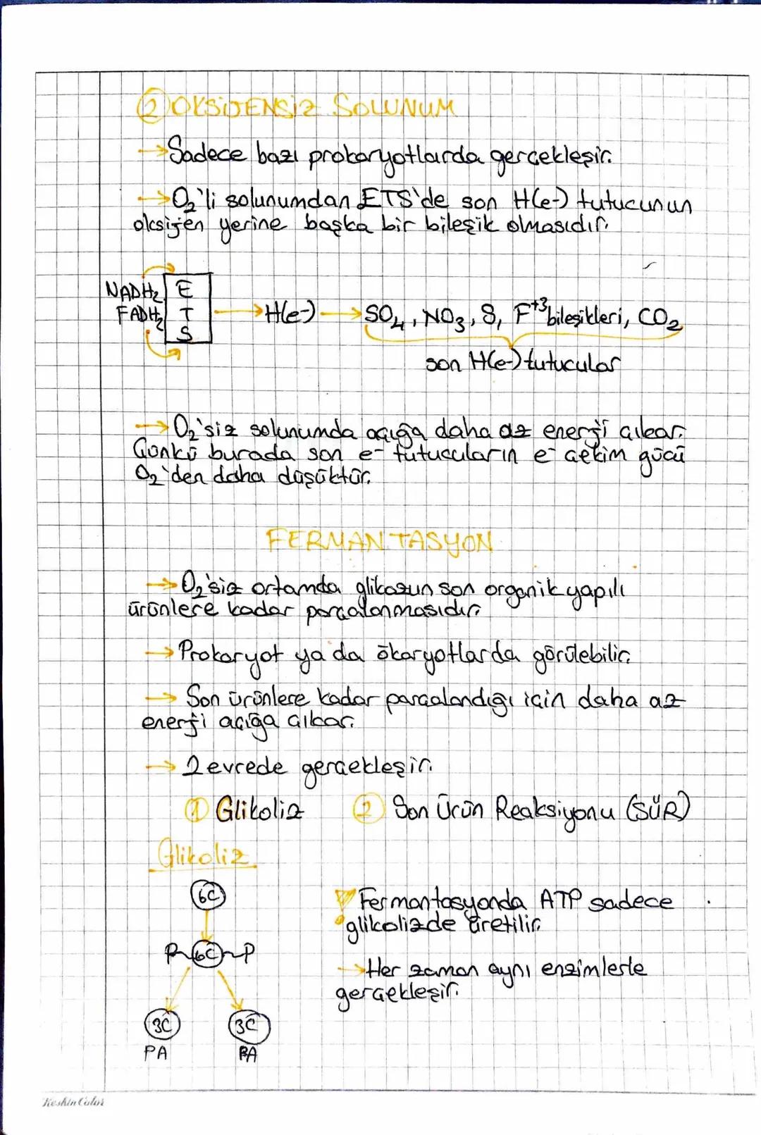 SDF-substrat düzeyinde fosforilasyon.
GU HÜCRESEL SOLUNUM ON
(10,'li Solunum
202`siz Solunum
OKSİJENCI SOCUNUM
4) Glikoliz
Stoplazmada gerçe