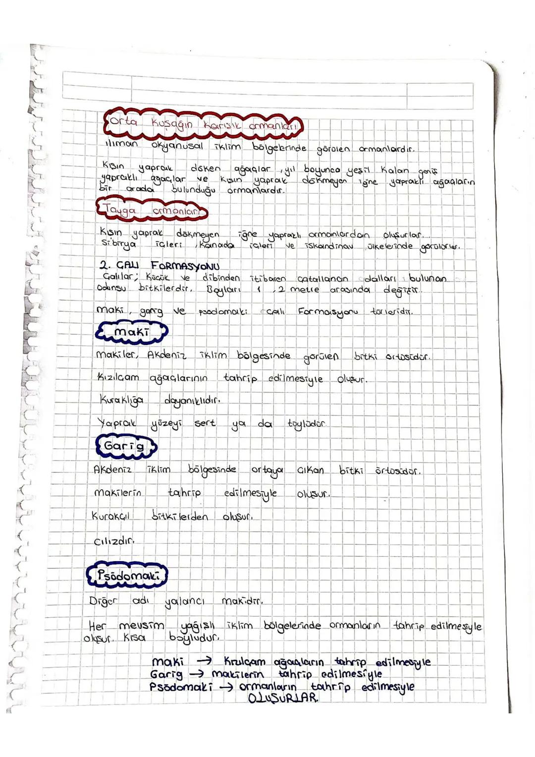 3. OT FORMASYONU
mevsimlik
bitkilerdir
yeseren
ortosonon olduğu yerler
Egemen
bitki
Sekilleri
ve
toprak
değildir.
Bu
bitkiler
yapıs
bakımınd