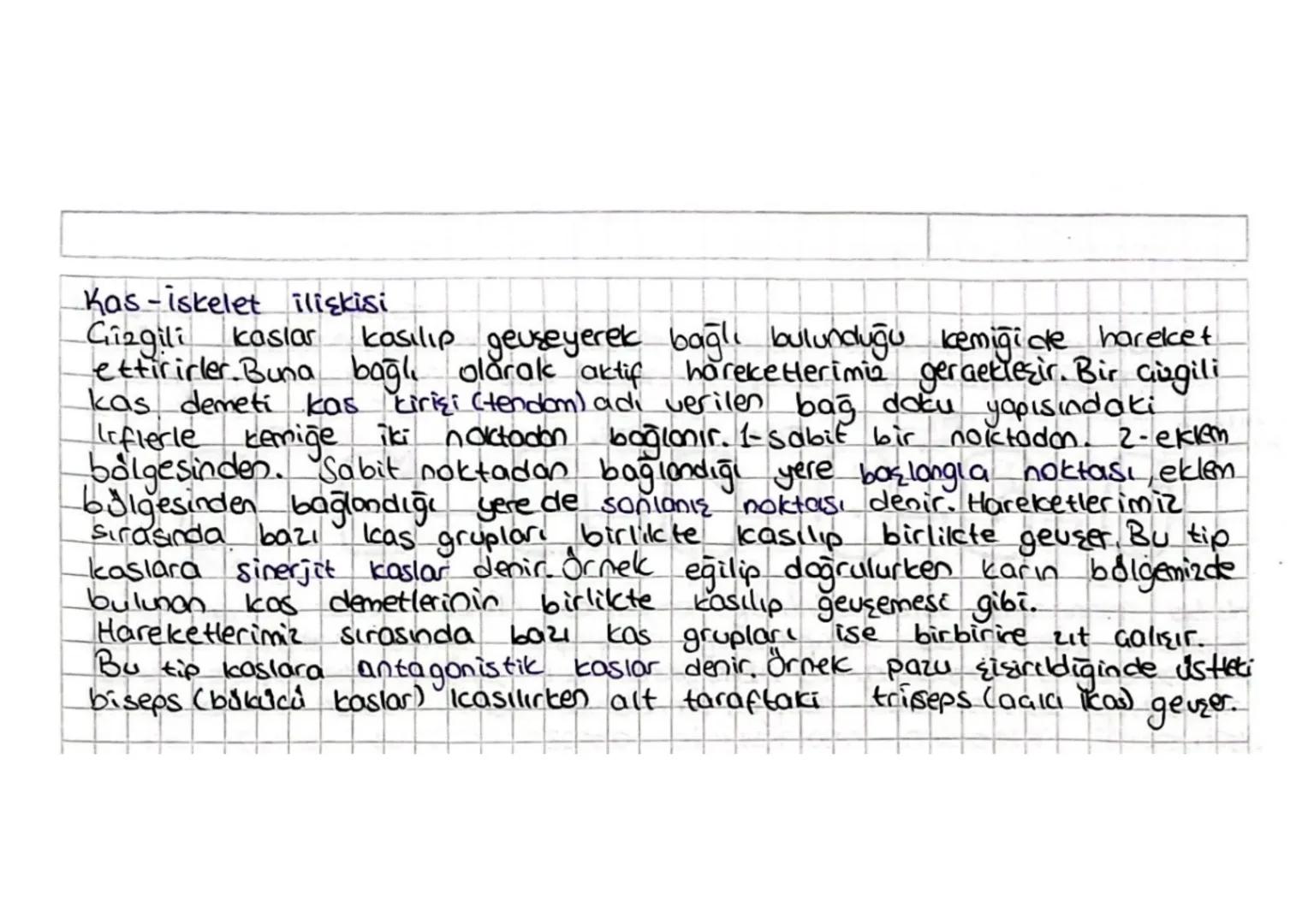 Destek ve Hareket Sistemi
Vücudumuza sekall veren, desteklik sağlayan ve aktif hareket-
lerimizi sağlayan sisteme destek ve hareket sistemi 