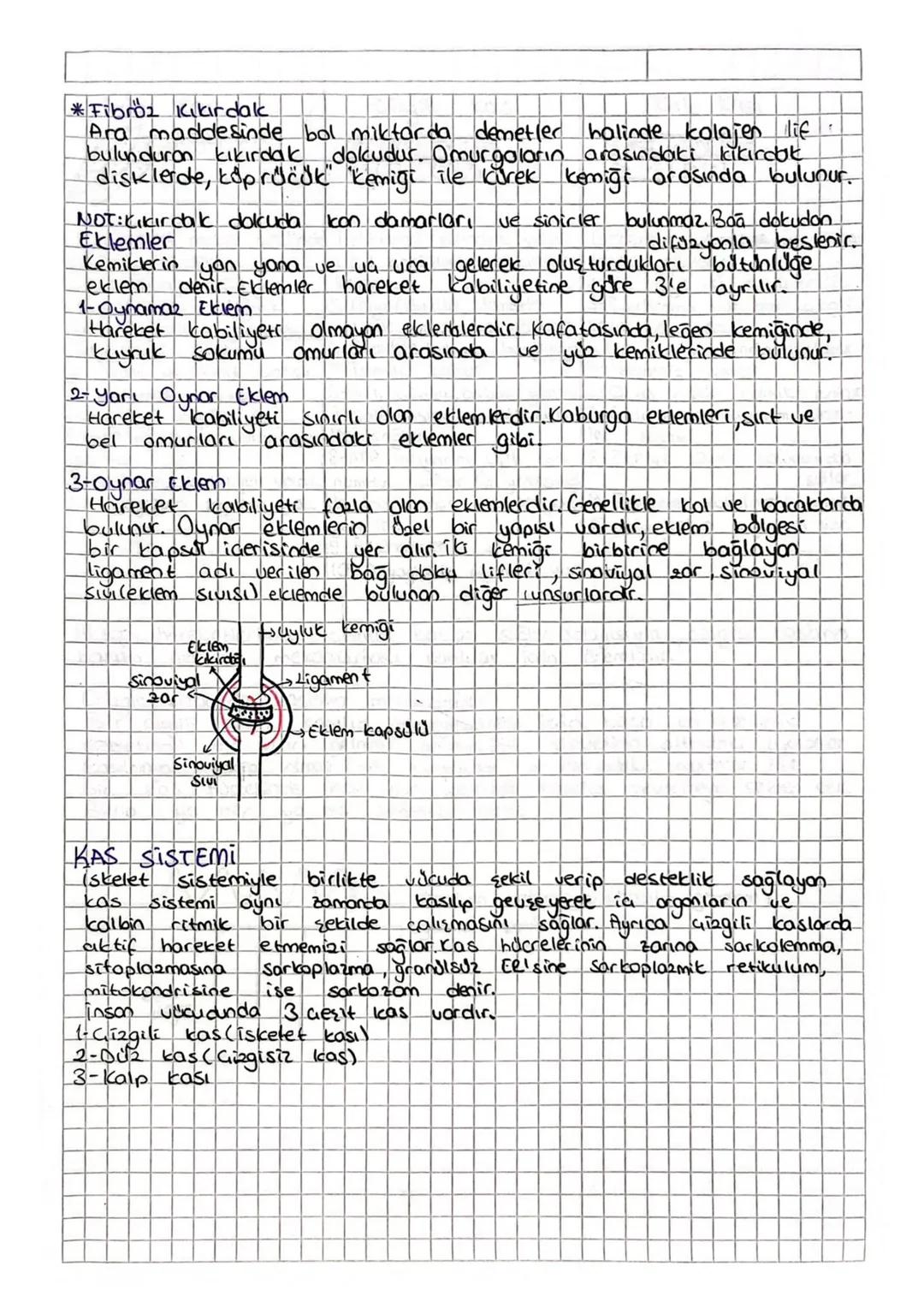 Destek ve Hareket Sistemi
Vücudumuza sekall veren, desteklik sağlayan ve aktif hareket-
lerimizi sağlayan sisteme destek ve hareket sistemi 