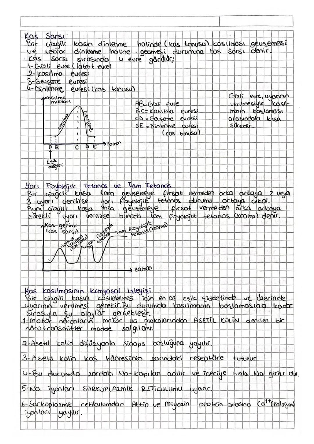 Destek ve Hareket Sistemi
Vücudumuza sekall veren, desteklik sağlayan ve aktif hareket-
lerimizi sağlayan sisteme destek ve hareket sistemi 