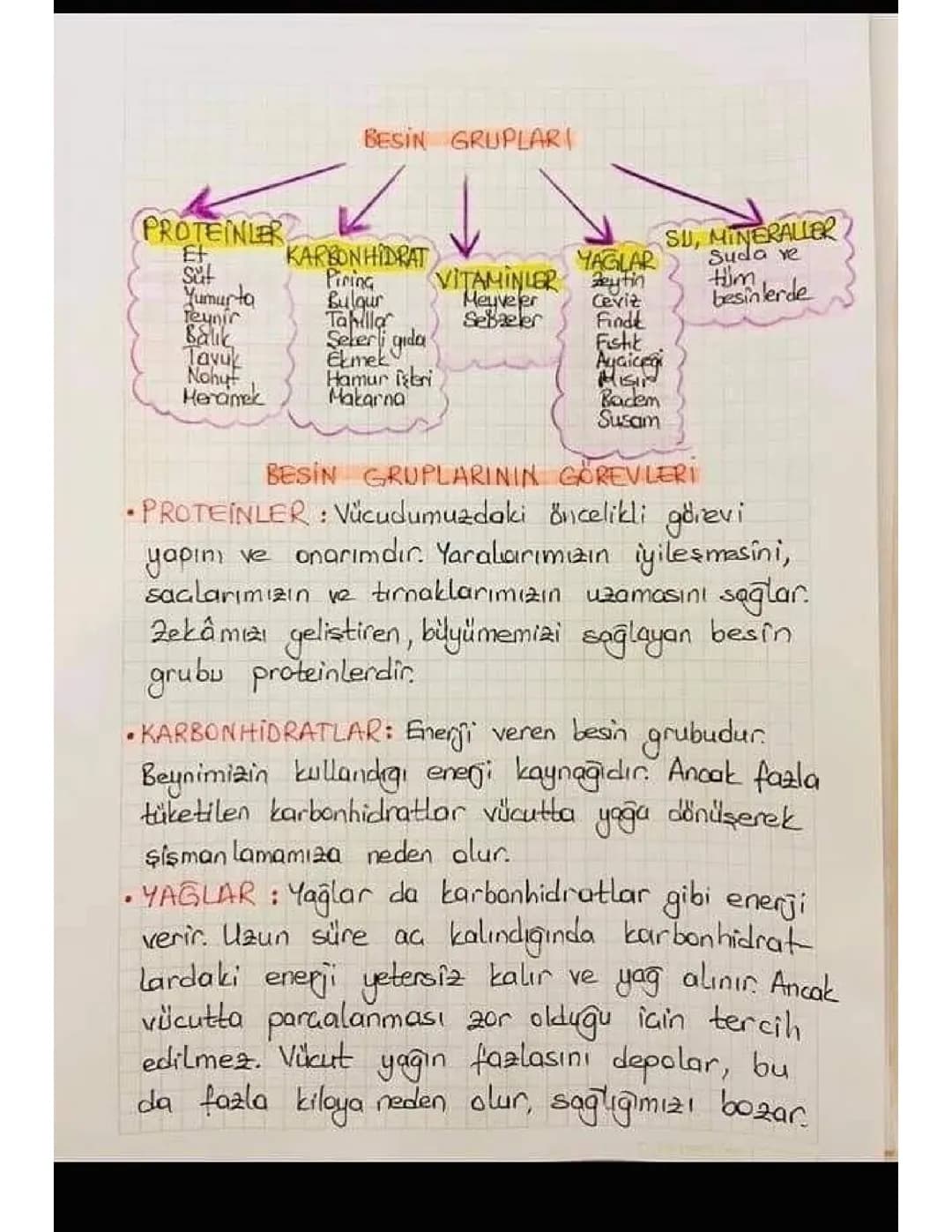 4. Sınıf Besin Grupları ve Görevleri: Temel Bilgiler