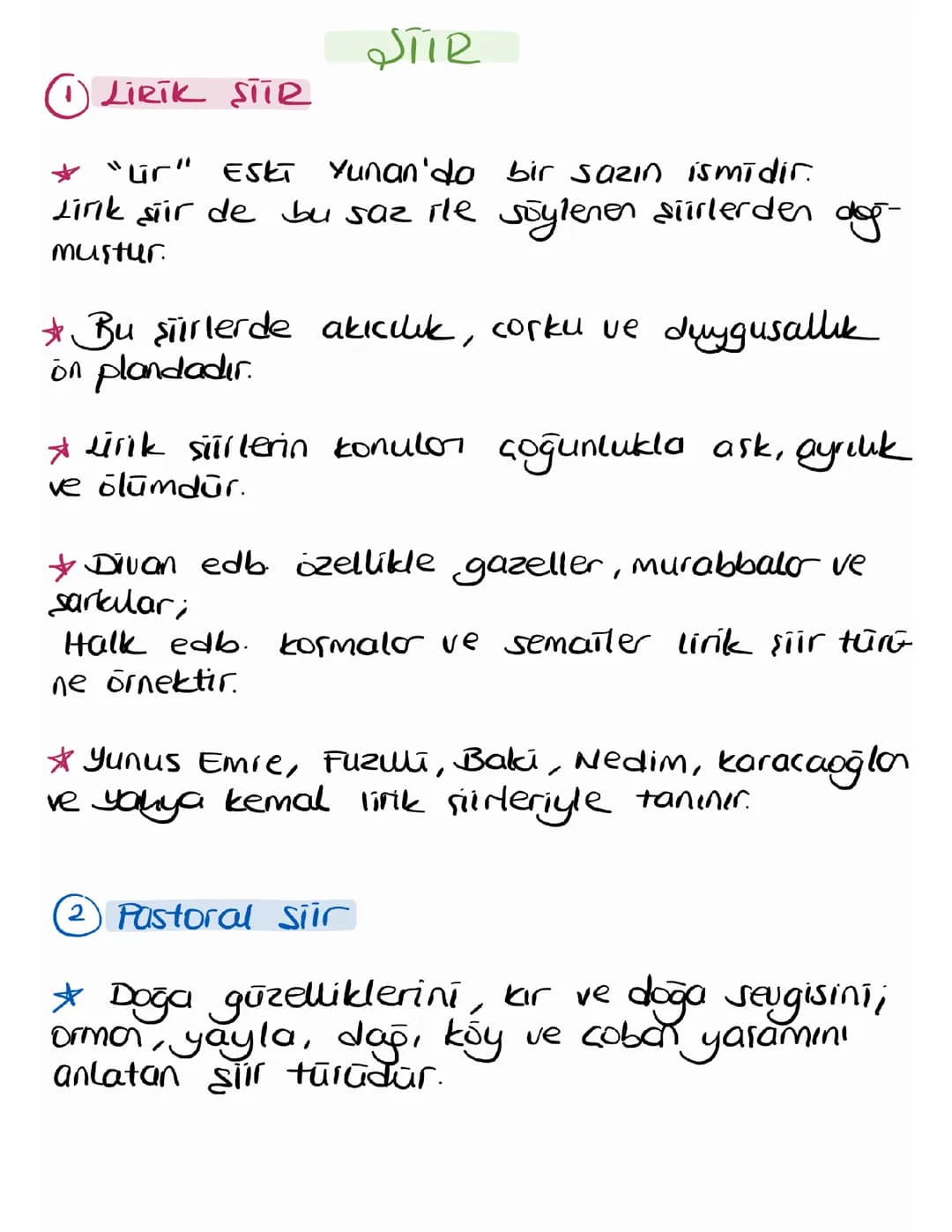 Şiir Türleri