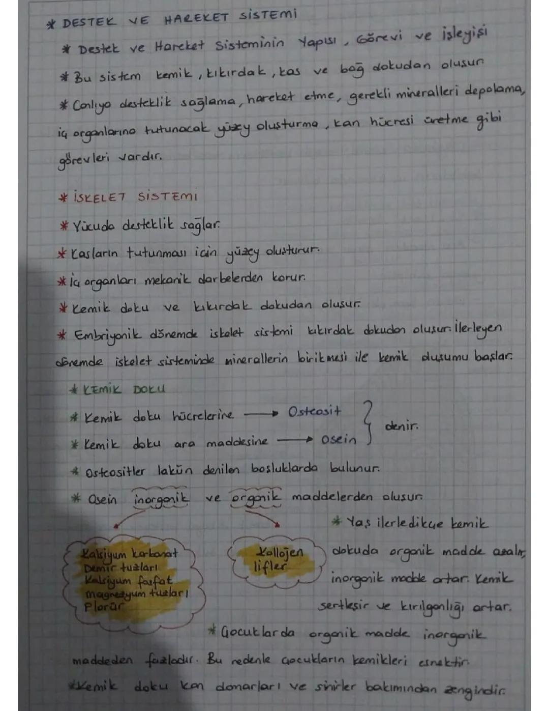 Destek ve hareket sistemi