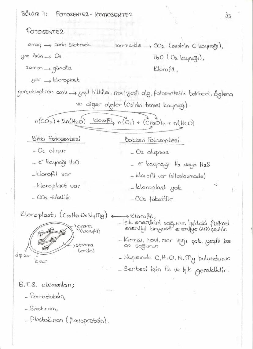 Bölüm 7: FOTOSENTE2 KEMOSENTE2
FOTOSENTE2
3
amaq besin üretmek
hammadde
yon
Ürün
02
CO2 (besinin C kaynağı),
H₂O (02 kaynağı),
2amon→
> günd