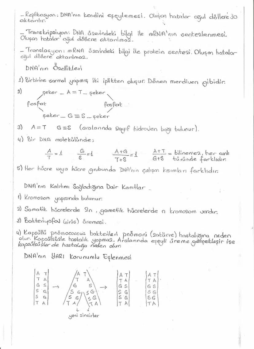 Bölüm 7: FOTOSENTE2 KEMOSENTE2
FOTOSENTE2
3
amaq besin üretmek
hammadde
yon
Ürün
02
CO2 (besinin C kaynağı),
H₂O (02 kaynağı),
2amon→
> günd