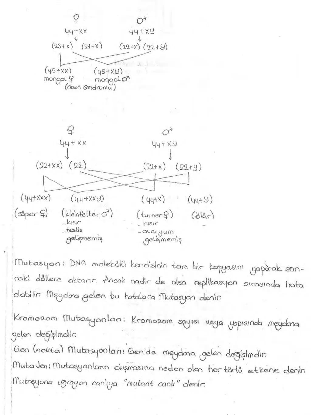 Bölüm 7: FOTOSENTE2 KEMOSENTE2
FOTOSENTE2
3
amaq besin üretmek
hammadde
yon
Ürün
02
CO2 (besinin C kaynağı),
H₂O (02 kaynağı),
2amon→
> günd