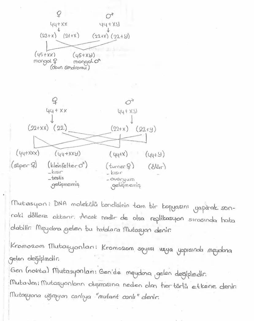Bölüm 7: FOTOSENTE2 KEMOSENTE2
FOTOSENTE2
3
amaq besin üretmek
hammadde
yon
Ürün
02
CO2 (besinin C kaynağı),
H₂O (02 kaynağı),
2amon→
> günd