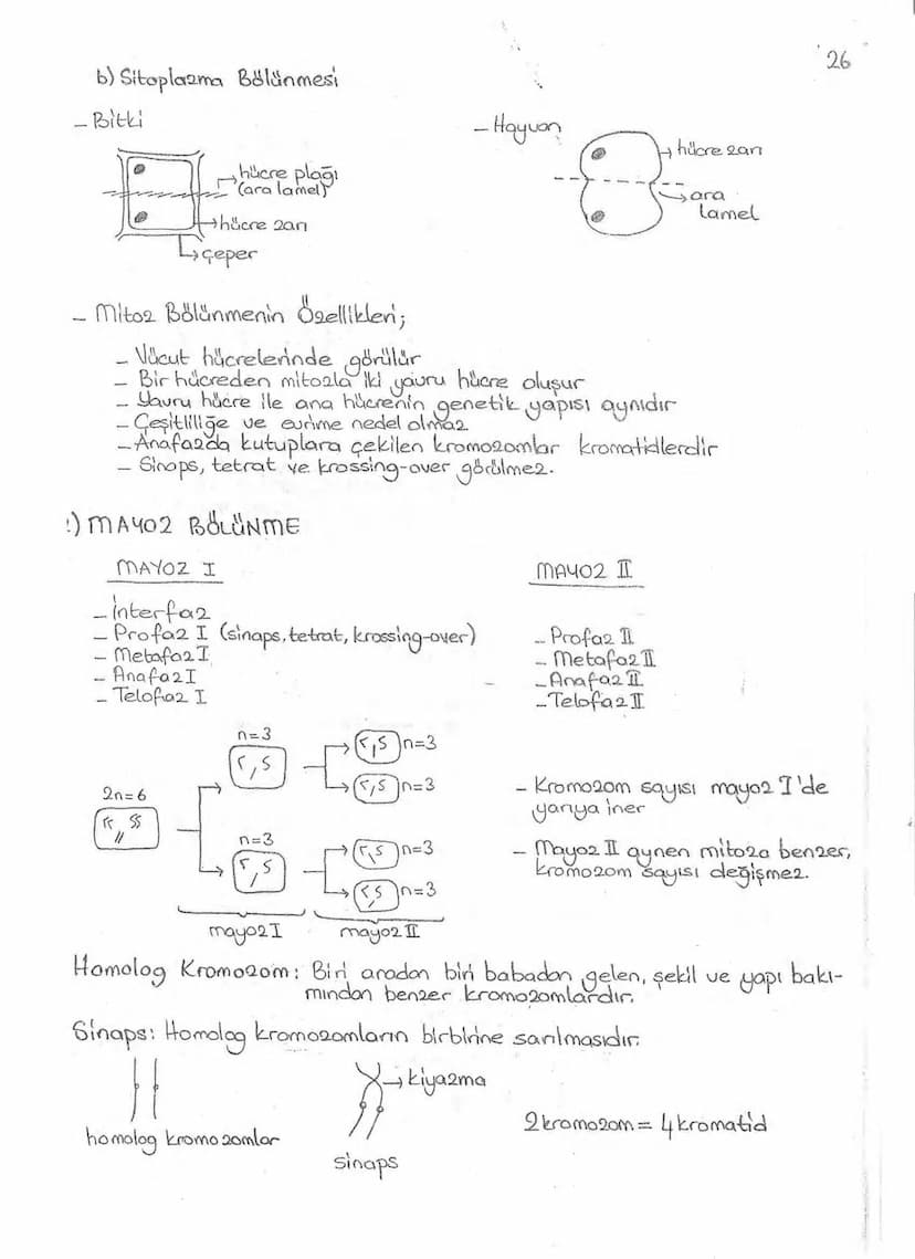 Bölüm 7: FOTOSENTE2 KEMOSENTE2
FOTOSENTE2
3
amaq besin üretmek
hammadde
yon
Ürün
02
CO2 (besinin C kaynağı),
H₂O (02 kaynağı),
2amon→
> günd