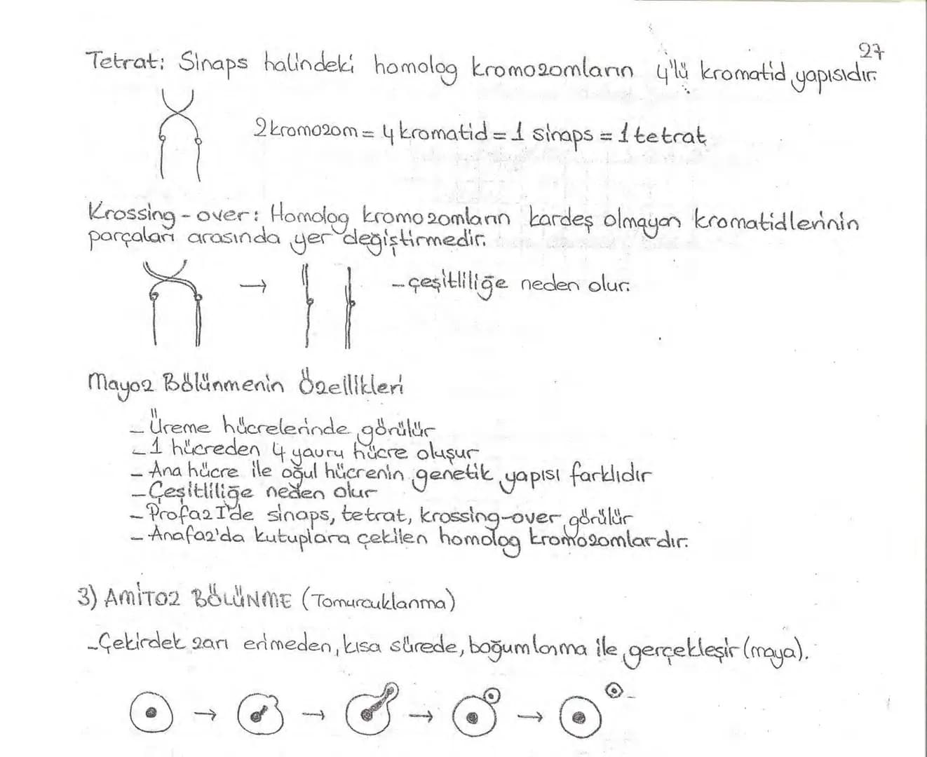 Bölüm 7: FOTOSENTE2 KEMOSENTE2
FOTOSENTE2
3
amaq besin üretmek
hammadde
yon
Ürün
02
CO2 (besinin C kaynağı),
H₂O (02 kaynağı),
2amon→
> günd