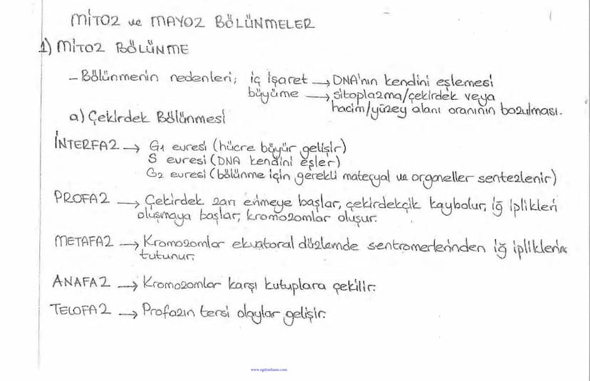 Bölüm 7: FOTOSENTE2 KEMOSENTE2
FOTOSENTE2
3
amaq besin üretmek
hammadde
yon
Ürün
02
CO2 (besinin C kaynağı),
H₂O (02 kaynağı),
2amon→
> günd