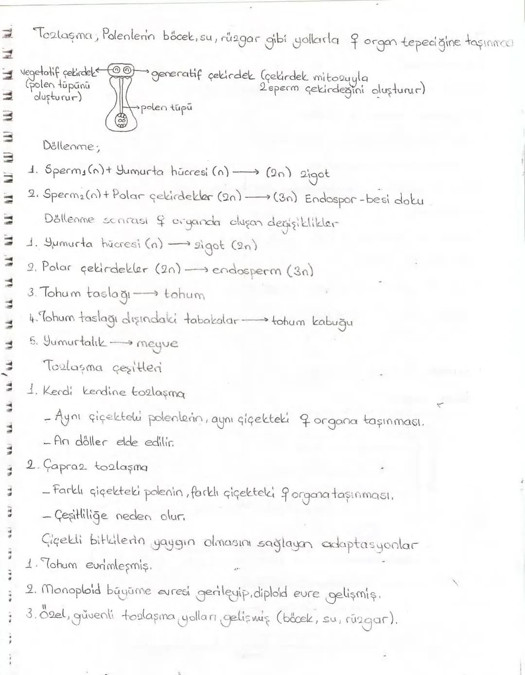 Bölüm 7: FOTOSENTE2 KEMOSENTE2
FOTOSENTE2
3
amaq besin üretmek
hammadde
yon
Ürün
02
CO2 (besinin C kaynağı),
H₂O (02 kaynağı),
2amon→
> günd
