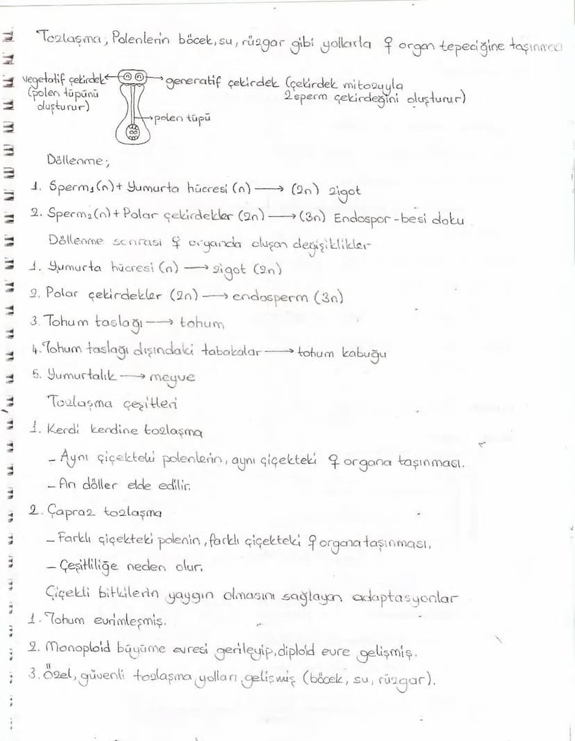 Bölüm 7: FOTOSENTE2 KEMOSENTE2
FOTOSENTE2
3
amaq besin üretmek
hammadde
yon
Ürün
02
CO2 (besinin C kaynağı),
H₂O (02 kaynağı),
2amon→
> günd