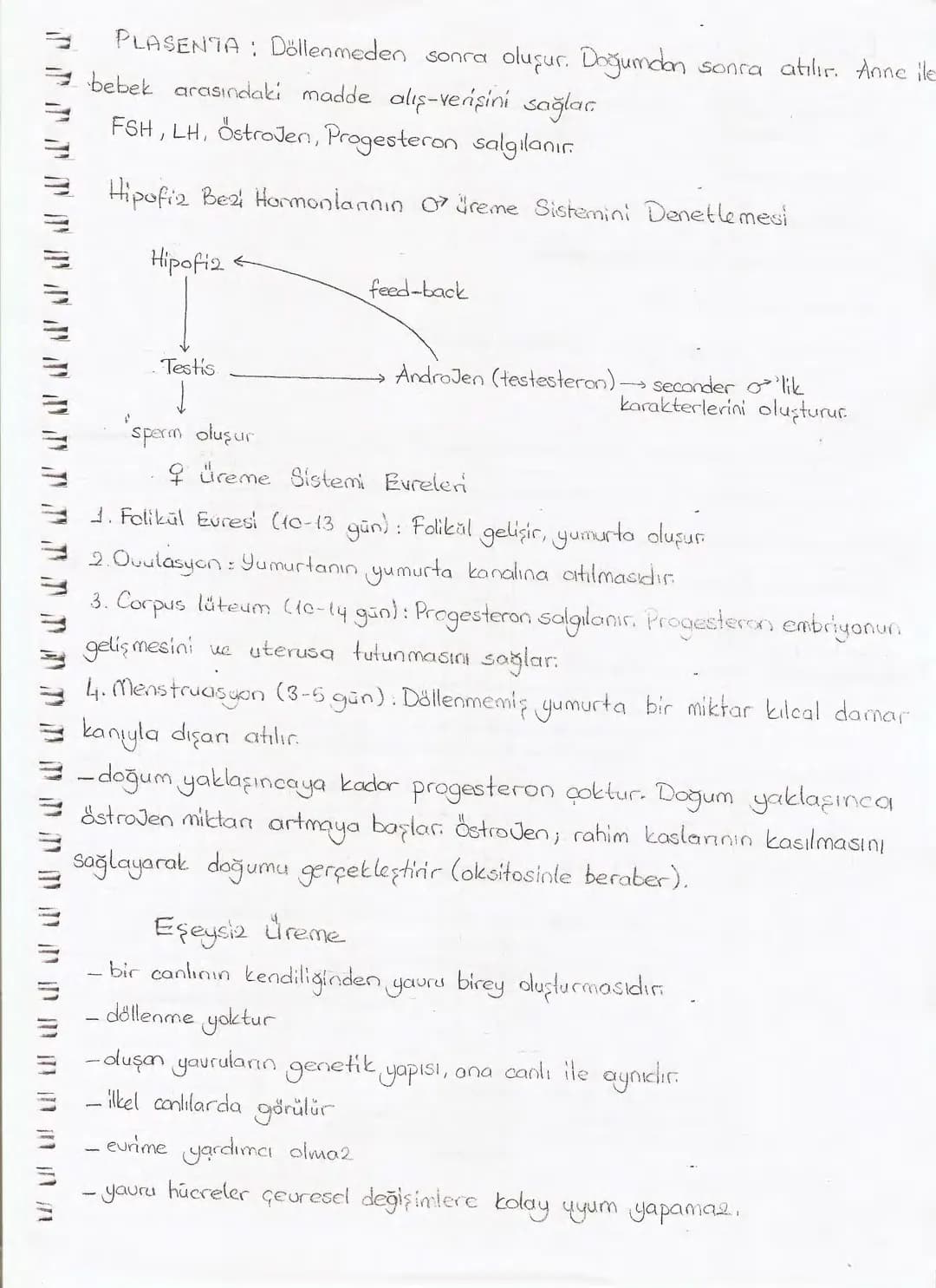Bölüm 7: FOTOSENTE2 KEMOSENTE2
FOTOSENTE2
3
amaq besin üretmek
hammadde
yon
Ürün
02
CO2 (besinin C kaynağı),
H₂O (02 kaynağı),
2amon→
> günd