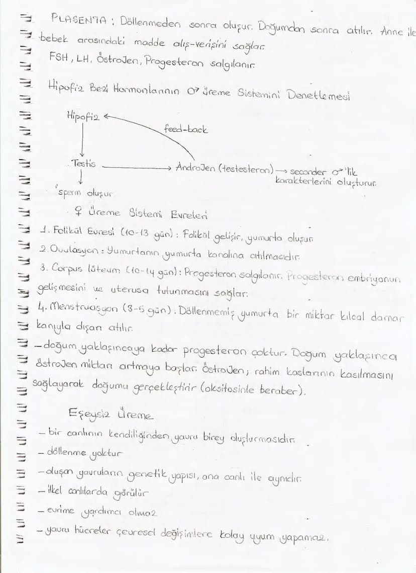 Bölüm 7: FOTOSENTE2 KEMOSENTE2
FOTOSENTE2
3
amaq besin üretmek
hammadde
yon
Ürün
02
CO2 (besinin C kaynağı),
H₂O (02 kaynağı),
2amon→
> günd