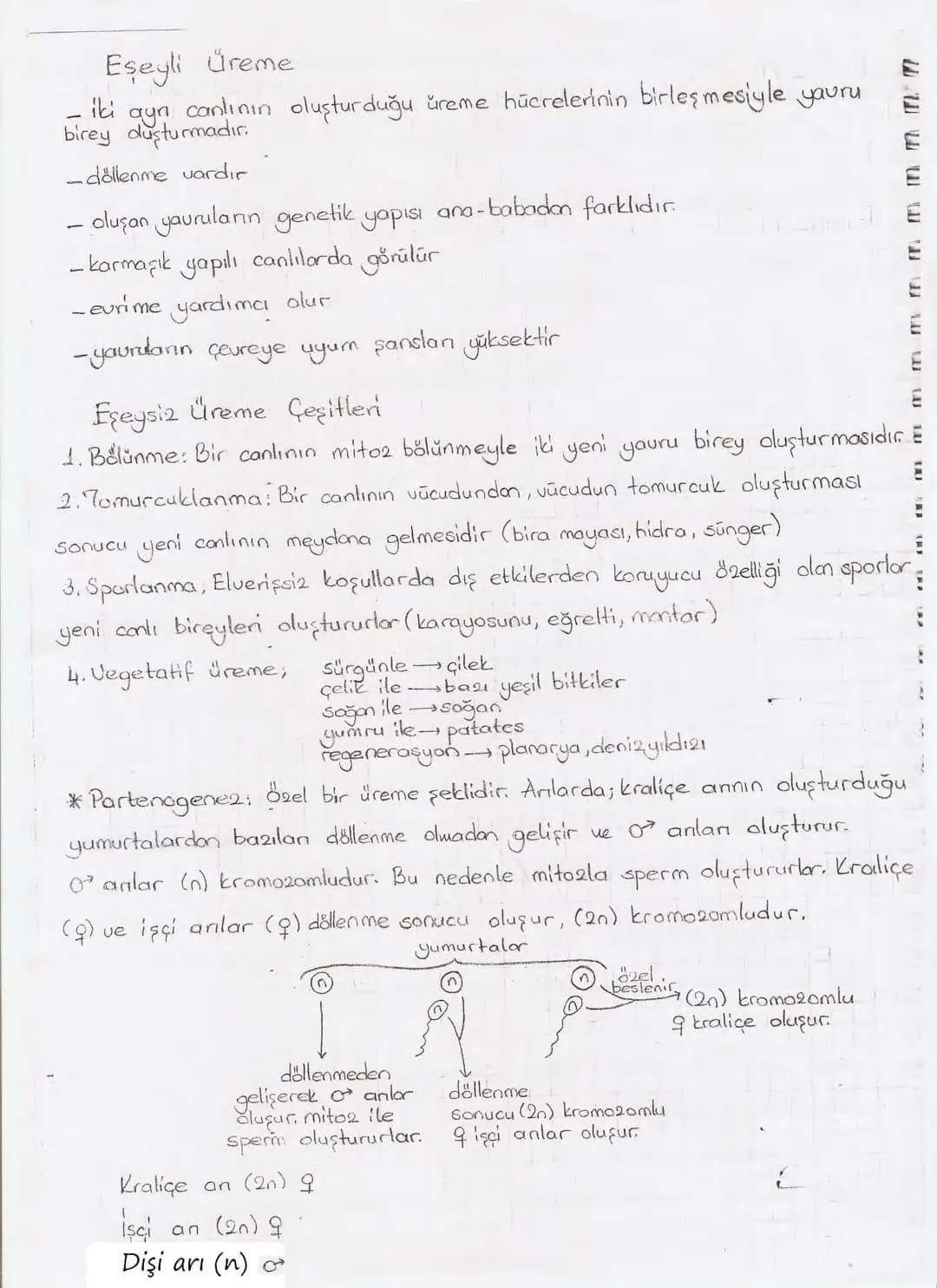 Bölüm 7: FOTOSENTE2 KEMOSENTE2
FOTOSENTE2
3
amaq besin üretmek
hammadde
yon
Ürün
02
CO2 (besinin C kaynağı),
H₂O (02 kaynağı),
2amon→
> günd
