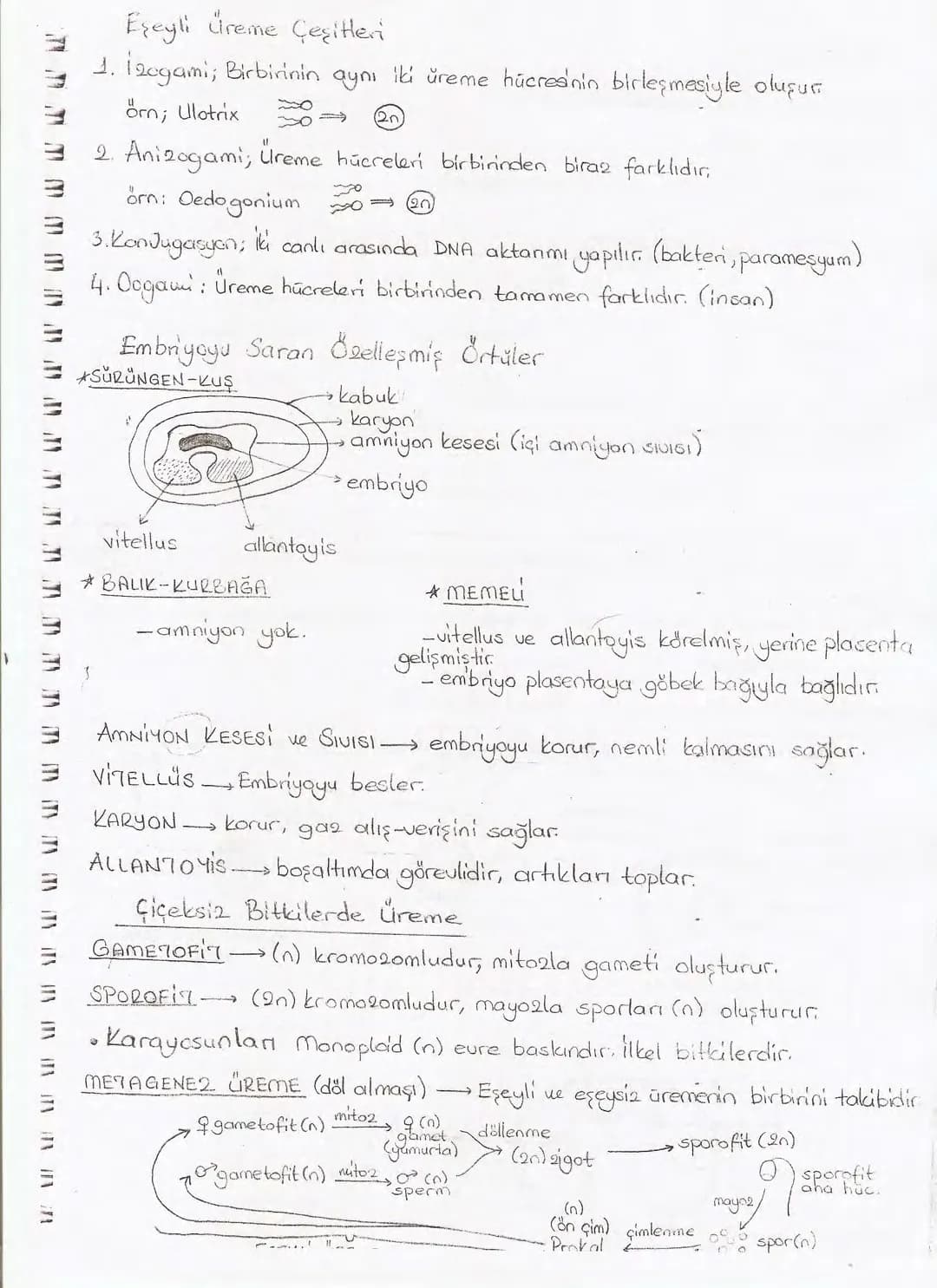 Bölüm 7: FOTOSENTE2 KEMOSENTE2
FOTOSENTE2
3
amaq besin üretmek
hammadde
yon
Ürün
02
CO2 (besinin C kaynağı),
H₂O (02 kaynağı),
2amon→
> günd