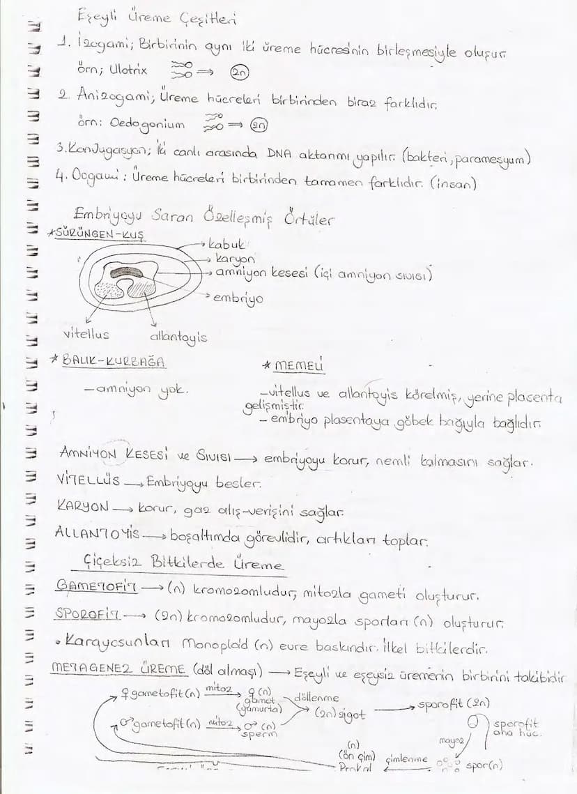 Bölüm 7: FOTOSENTE2 KEMOSENTE2
FOTOSENTE2
3
amaq besin üretmek
hammadde
yon
Ürün
02
CO2 (besinin C kaynağı),
H₂O (02 kaynağı),
2amon→
> günd
