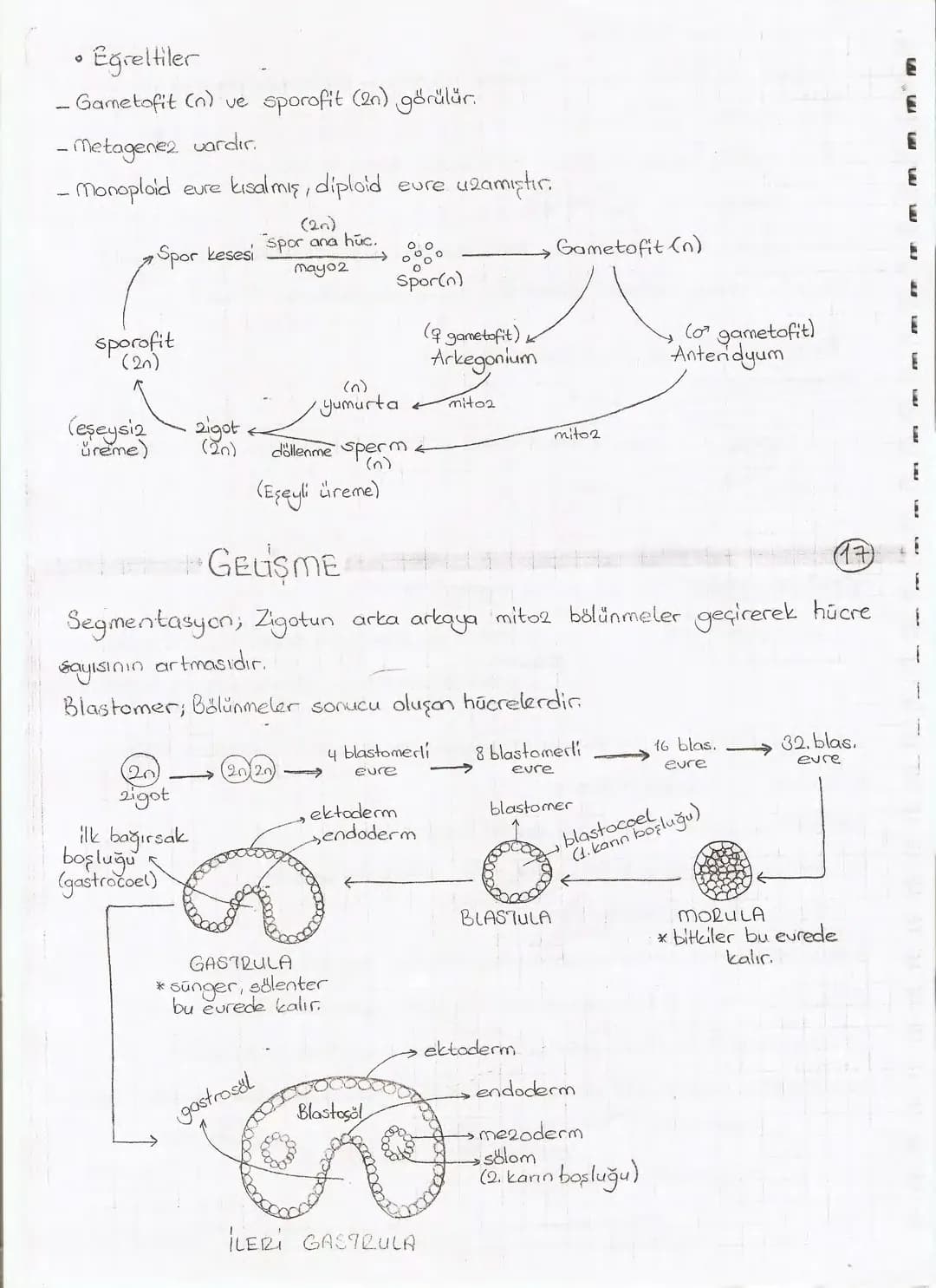 Bölüm 7: FOTOSENTE2 KEMOSENTE2
FOTOSENTE2
3
amaq besin üretmek
hammadde
yon
Ürün
02
CO2 (besinin C kaynağı),
H₂O (02 kaynağı),
2amon→
> günd