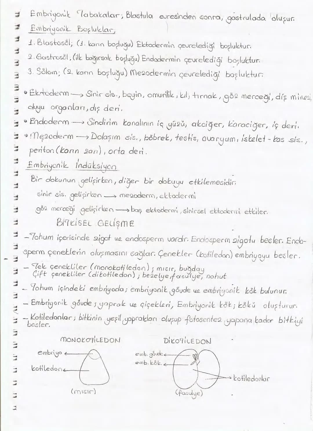 Bölüm 7: FOTOSENTE2 KEMOSENTE2
FOTOSENTE2
3
amaq besin üretmek
hammadde
yon
Ürün
02
CO2 (besinin C kaynağı),
H₂O (02 kaynağı),
2amon→
> günd