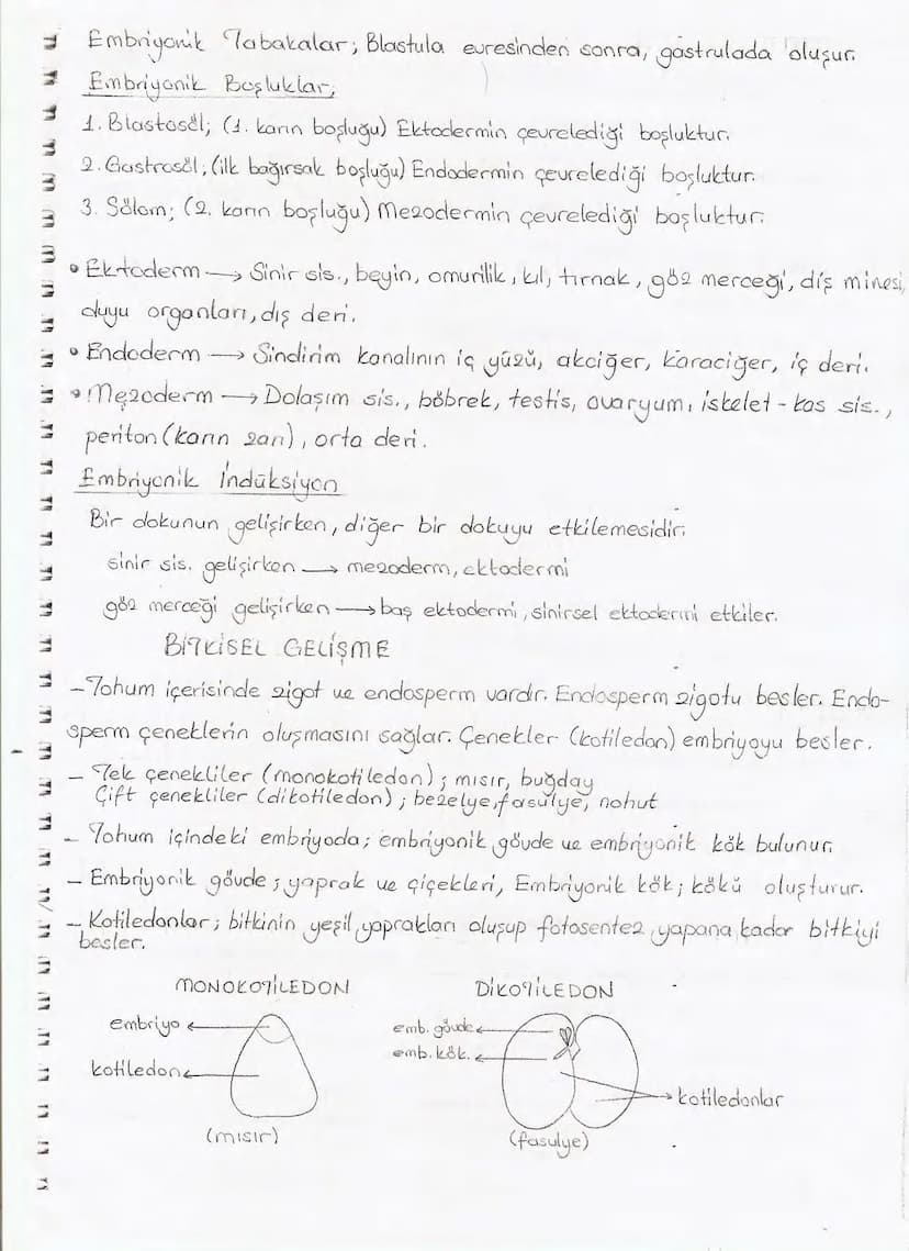 Bölüm 7: FOTOSENTE2 KEMOSENTE2
FOTOSENTE2
3
amaq besin üretmek
hammadde
yon
Ürün
02
CO2 (besinin C kaynağı),
H₂O (02 kaynağı),
2amon→
> günd