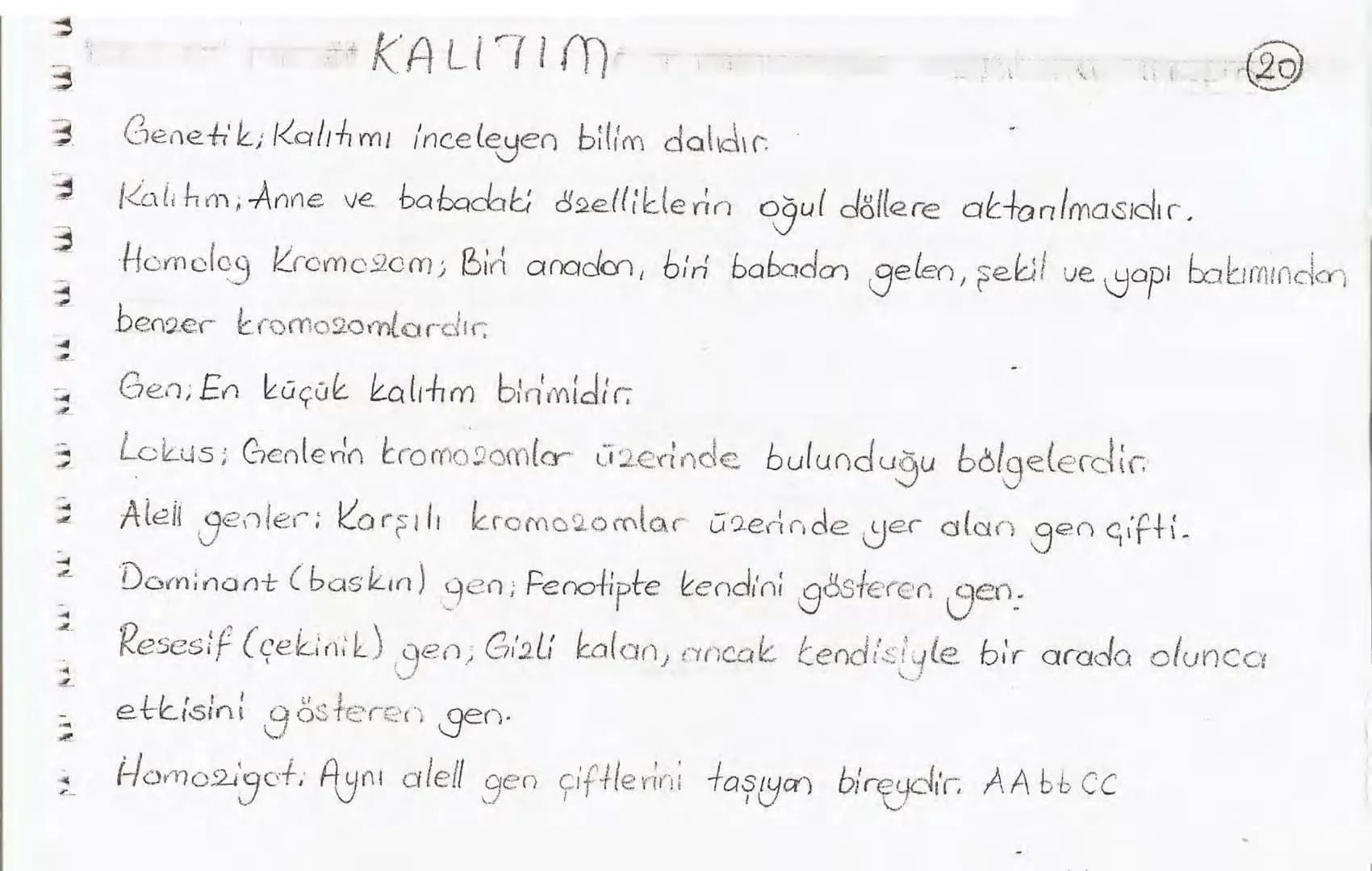 Bölüm 7: FOTOSENTE2 KEMOSENTE2
FOTOSENTE2
3
amaq besin üretmek
hammadde
yon
Ürün
02
CO2 (besinin C kaynağı),
H₂O (02 kaynağı),
2amon→
> günd